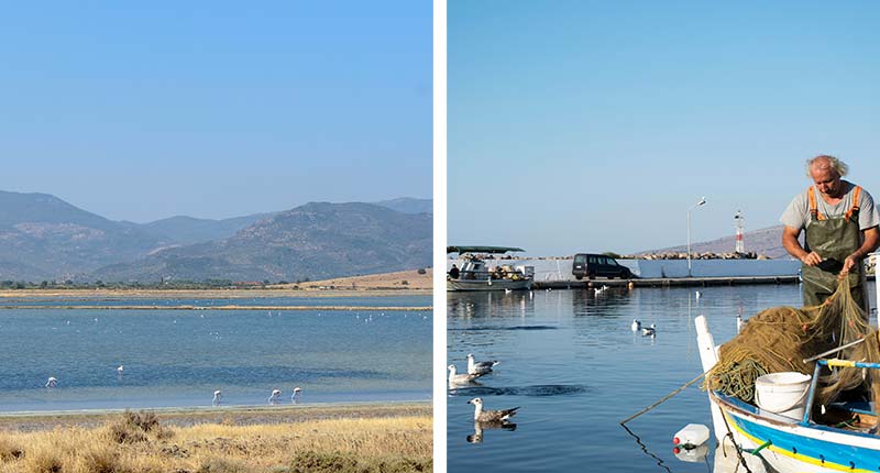 favoriete-uitstapjes-Lesbos-vissersdorpje-kalloni-eliza-was-here-belgie