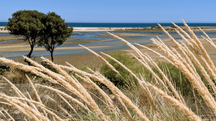 Ria Formosa