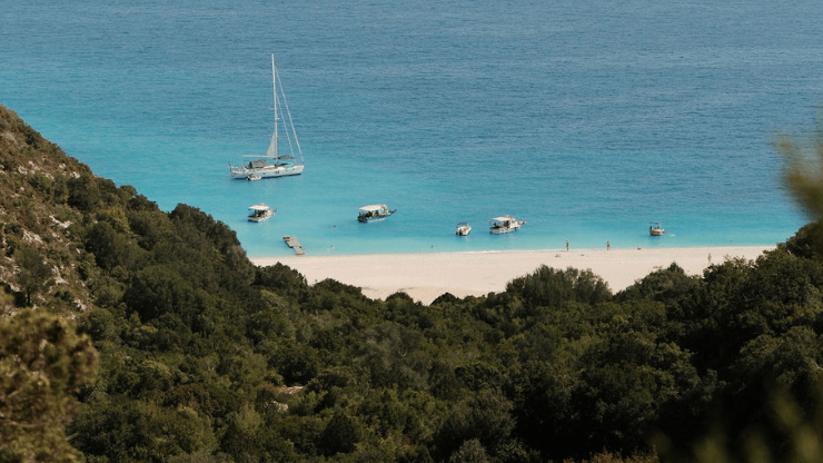 uitzicht over een combinatie van bos en strand.