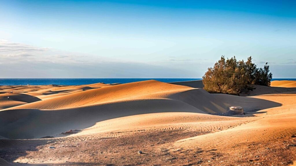 spanje gran canaria maspalomas bezienswaardigheid